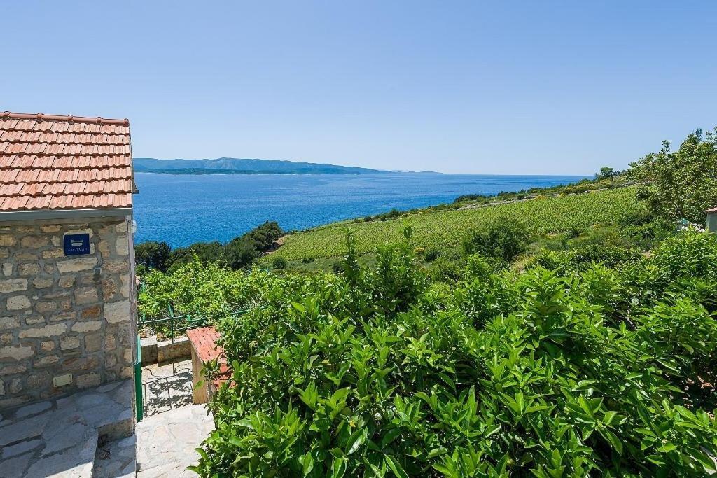 Vineyard Cottages - Murvica Zimmer foto